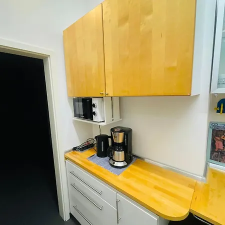 アパート Loftwohnung 140 Qm Mit Parkplatz, Wlan, 2 Schlafzimmer, Terrasse , Waescheservice Groß-Umstadt
